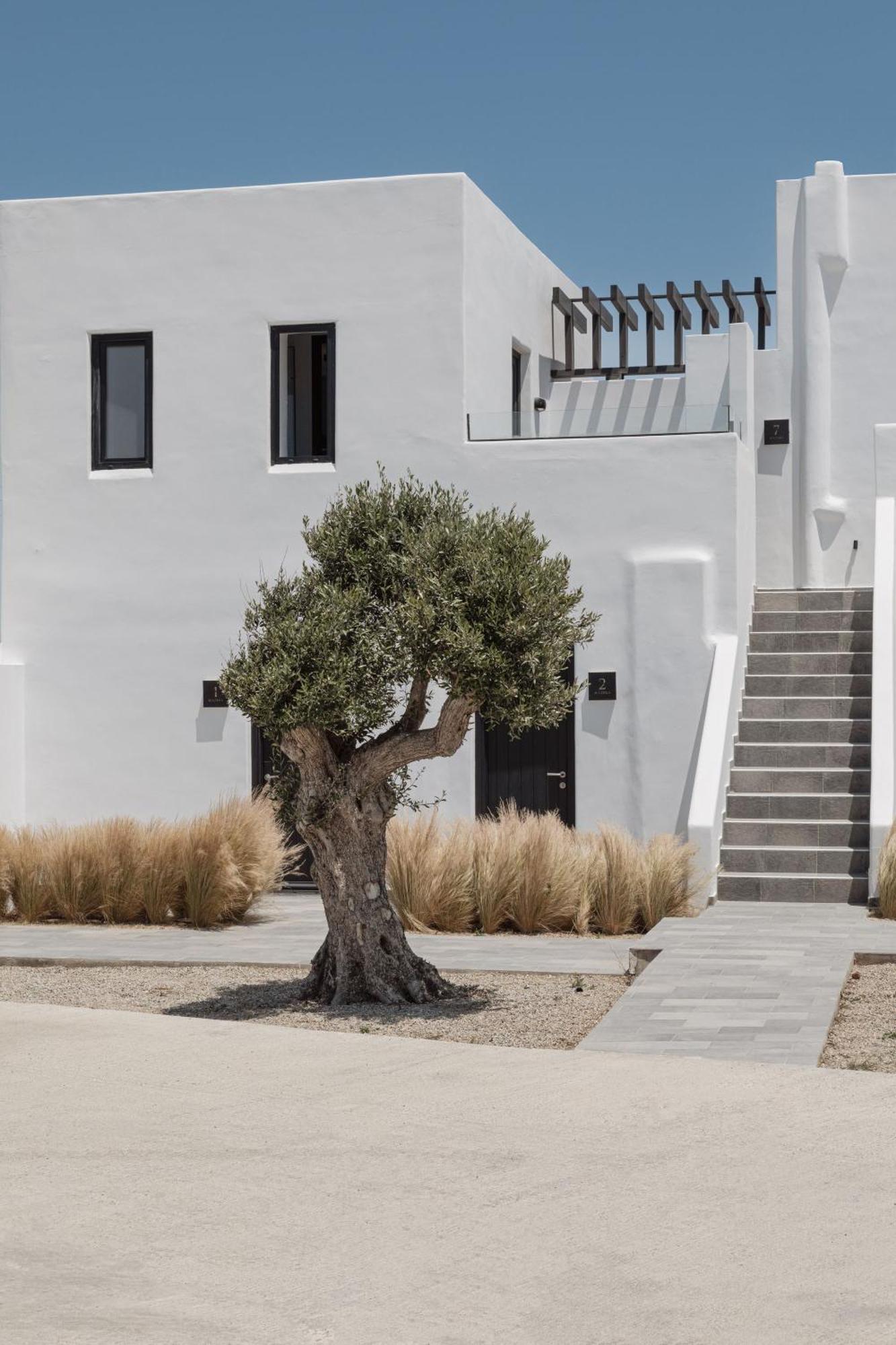 Laguna Suites In Mazera Mykonos Mykonos Town Zewnętrze zdjęcie